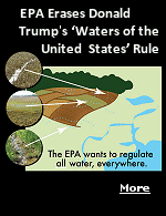 The ''Waters of the United States'' rule, usually abbreviated as WOTUS, acts to define the waterways (rivers, creeks, wetlands and lakes) for purposes of regulation. It became a call-to-arms for the political right, who viewed-and continues to view it-as governmental overreach. 